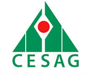 Centre Africain d'Etudes Supérieures en Gestion (CESAG)